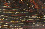 Polished Tiger Iron Stromatolite - ( Billion Years) #38912-1